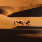 a group of people riding camels in the desert